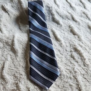 Delman Blue and Gray Striped Silk Tie